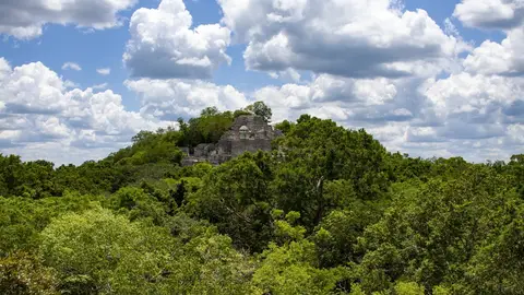Calakmul Calakmul