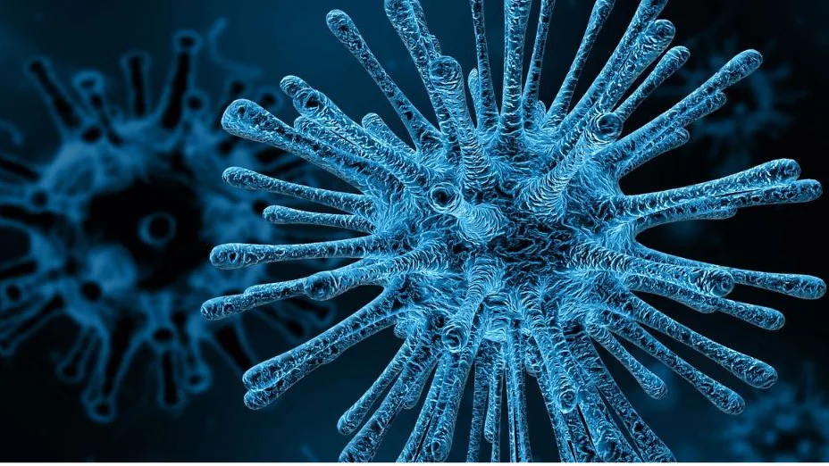La ciencia se acerca a rejuvenecer el sistema inmunitario humano para ayudar a tratar enfermedades como el cáncer La ciencia se acerca a rejuvenecer el sistema inmunitario humano para ayudar a tratar enfermedades como el cáncer