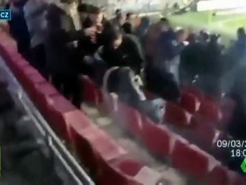 El sobrecogedor momento en el que una bengala impacta en una aficionada durante el Sparta vs Viktoria Plzen El sobrecogedor momento en el que una bengala impacta en una aficionada durante el Sparta vs Viktoria Plzen