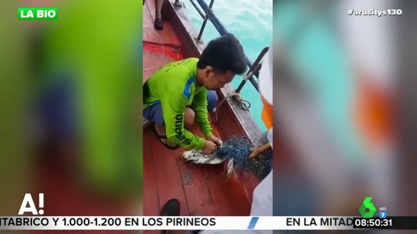 La increíble hazaña de unos pescadores para salvar a una tortuga atrapada entre unas redes La increíble hazaña de unos pescadores para salvar a una tortuga atrapada entre unas redes