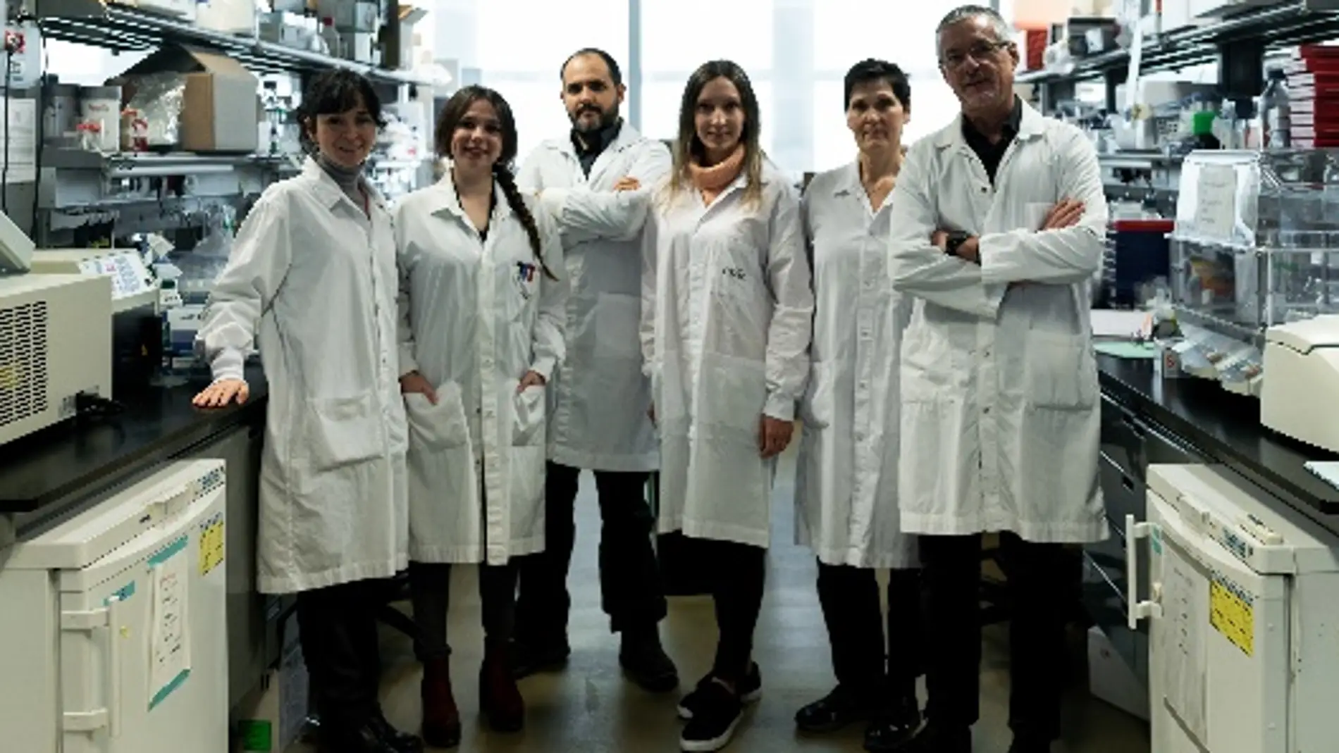 los autores de la investigación