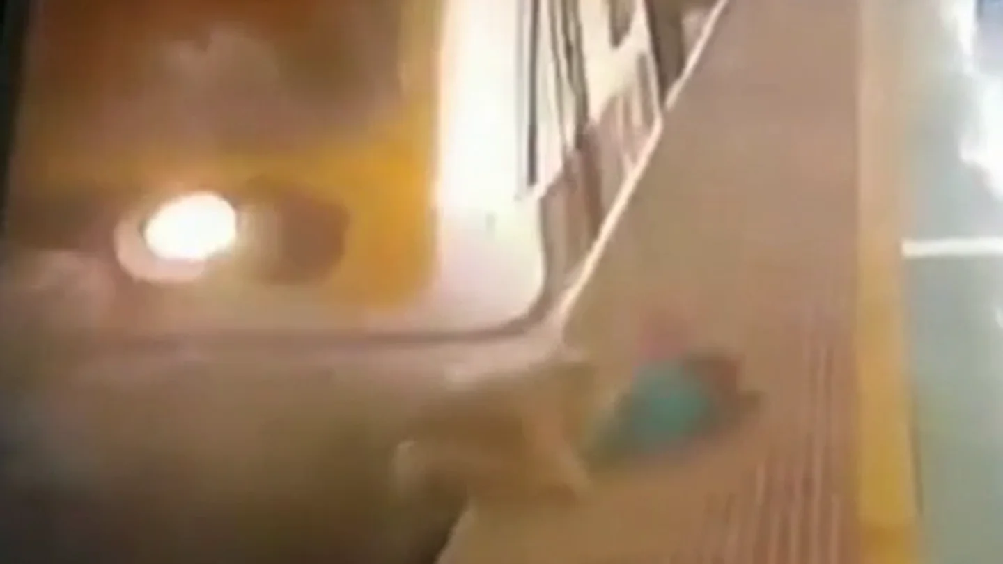 Impactantes imágenes: un tren arrolla a una mujer que intentaba cruzar las vías Impactantes imágenes: un tren arrolla a una mujer que intentaba cruzar las vías