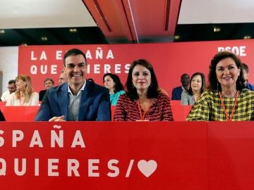 Pedro Sánchez en el Comité Federal del PSOE Pedro Sánchez en el Comité Federal del PSOE