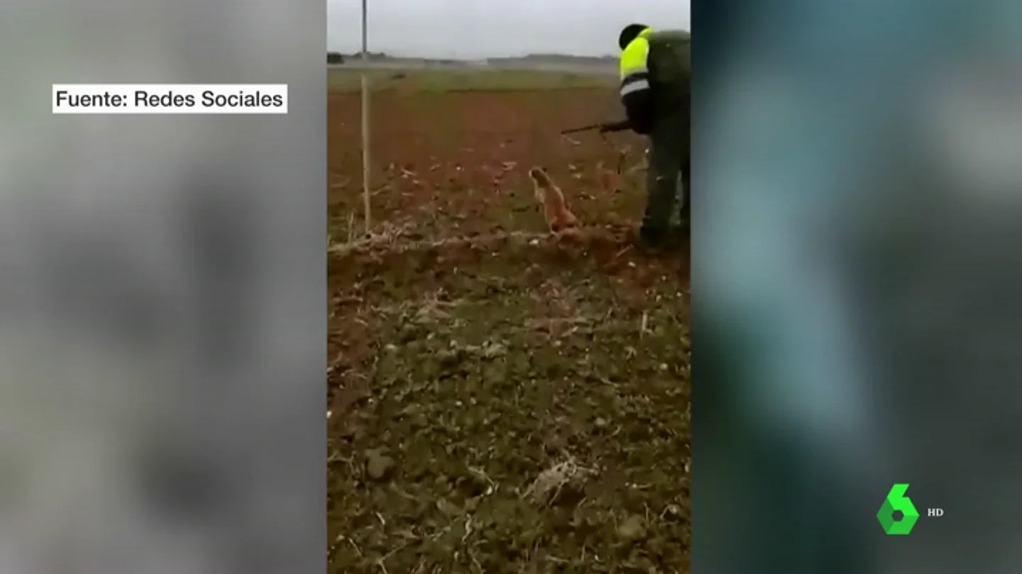 Por vídeos tan violentos como estos es necesario el endurecimiento urgente del Código Penal para el maltrato animal Por vídeos tan violentos como estos es necesario el endurecimiento urgente del Código Penal para el maltrato animal