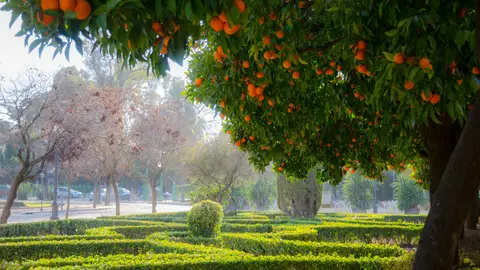Parque de María Luisa Parque de María Luisa
