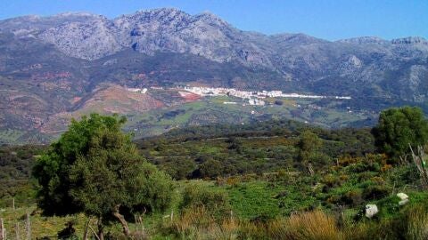 Panorámica Serranía de Ronda