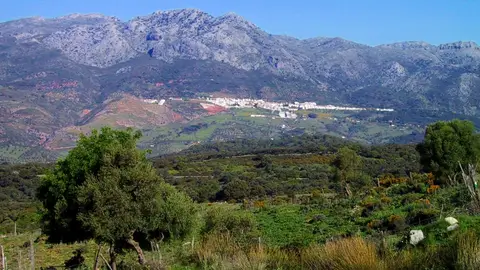 Panorámica Serranía de Ronda Panorámica Serranía de Ronda