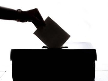 Vota Vota
