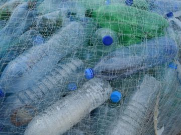 Se recogen 12 toneladas de basura al año de nuestros mares. Se recogen 12 toneladas de basura al año de nuestros mares.