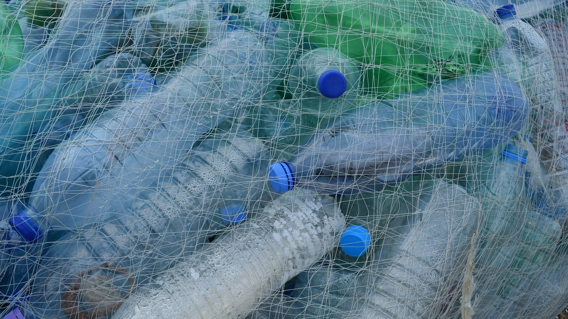 Se recogen 12 toneladas de basura al año de nuestros mares.