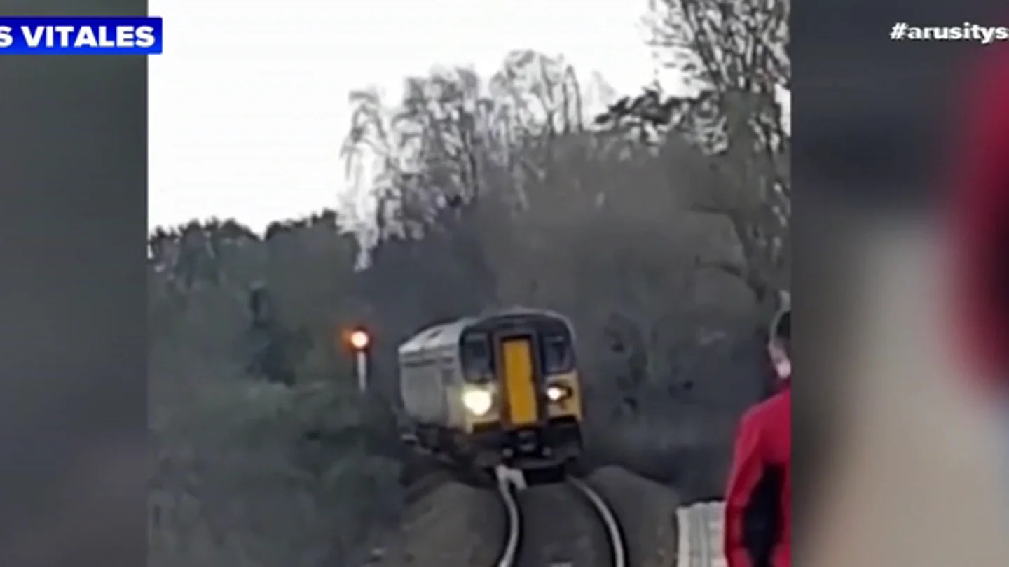 Un perro pastor provoca retrasos de dos horas en la red ferroviaria al confundir al tren con un gran animal Un perro pastor provoca retrasos de dos horas en la red ferroviaria al confundir al tren con un gran animal