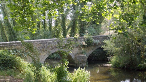 Alameda del Parral