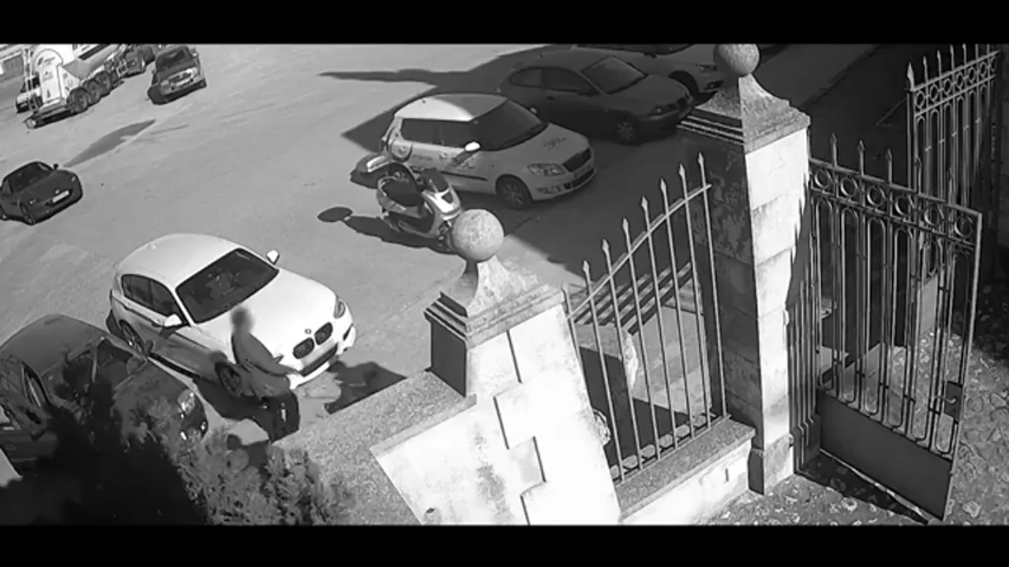 Graban a un hombre mientras abandona a su perra y sale huyendo en Palma de Mallorca Graban a un hombre mientras abandona a su perra y sale huyendo en Palma de Mallorca