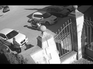 Graban a un hombre mientras abandona a su perra y sale huyendo en Palma de Mallorca Graban a un hombre mientras abandona a su perra y sale huyendo en Palma de Mallorca