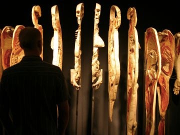 Cuerpos en un museo Cuerpos en un museo