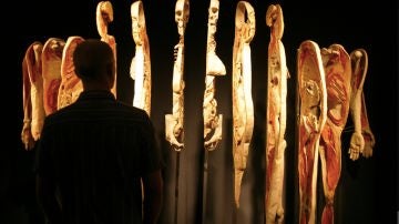 Cuerpos en un museo Cuerpos en un museo