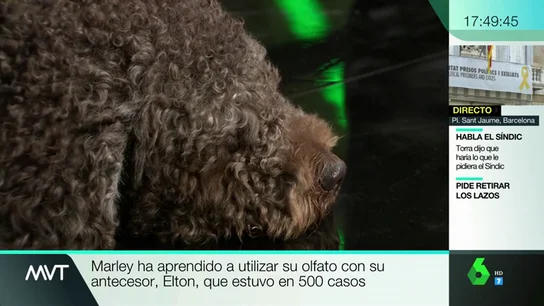 MARLEY CASO ARDINES MARLEY CASO ARDINES