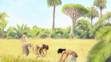 El ADN antiguo confirma el origen de los primeros colonizadores de Canarias