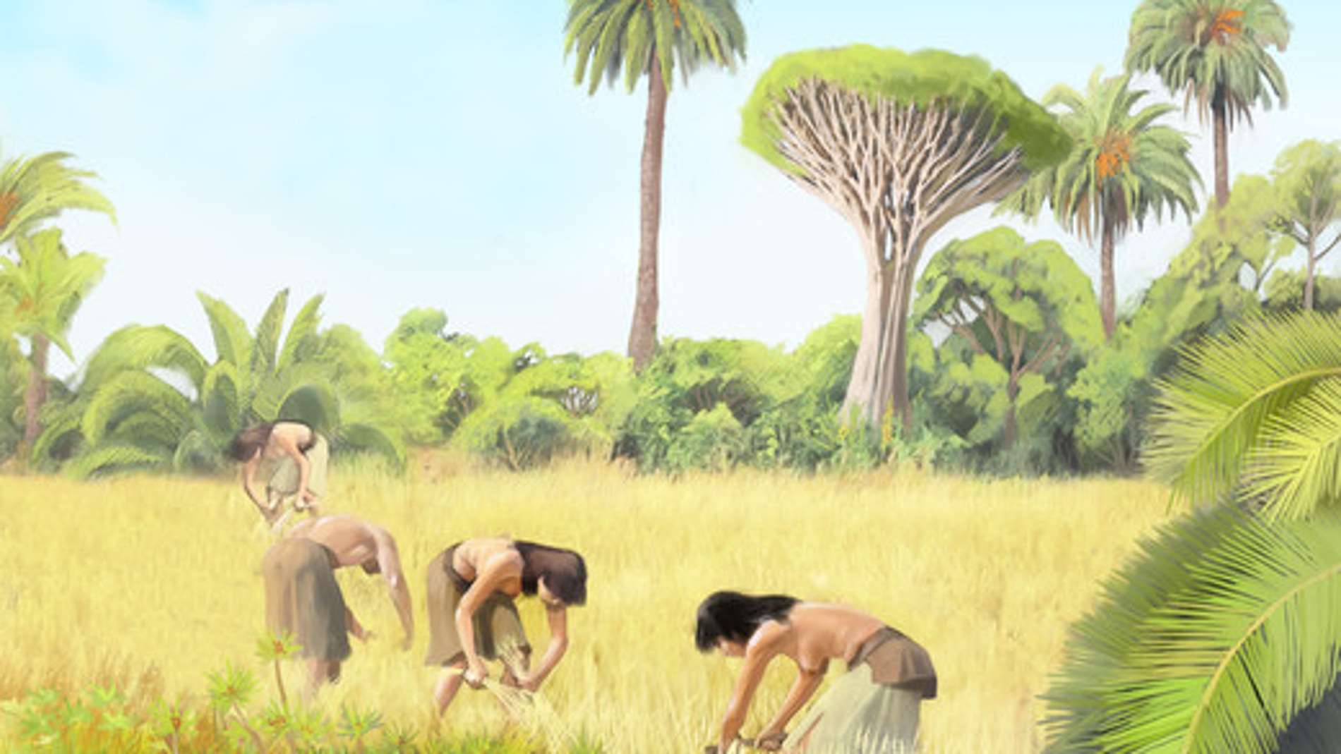 El ADN antiguo confirma el origen de los primeros colonizadores de Canarias