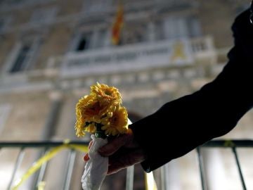 Una flor amarilla en la fachada de la Generalitat Una flor amarilla en la fachada de la Generalitat