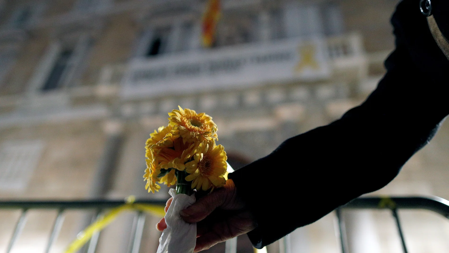 Una flor amarilla en la fachada de la Generalitat