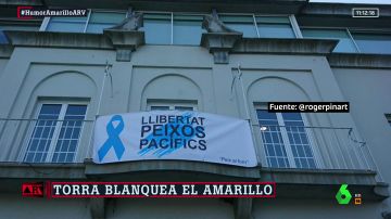 La pancarta de Port de la Selva para esquivar a la Junta Electoral: "Libertad peces pacíficos"