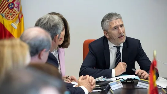 El ministro de Interior, Fernando Grande-Marlaska El ministro de Interior, Fernando Grande-Marlaska