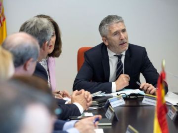 El ministro de Interior, Fernando Grande-Marlaska El ministro de Interior, Fernando Grande-Marlaska