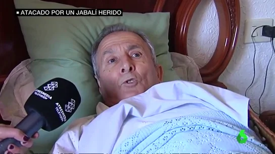 Una jabalí herido ataca a un hombre y le produce heridas en todo su cuerpo Una jabalí herido ataca a un hombre y le produce heridas en todo su cuerpo