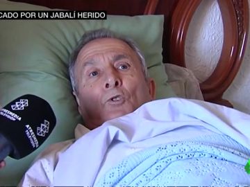 Una jabalí herido ataca a un hombre y le produce heridas en todo su cuerpo Una jabalí herido ataca a un hombre y le produce heridas en todo su cuerpo