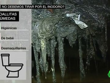 No te escandalices por 'monstruos de toallitas', y actúa: qué no debes tirar por el retrete No te escandalices por 'monstruos de toallitas', y actúa: qué no debes tirar por el retrete