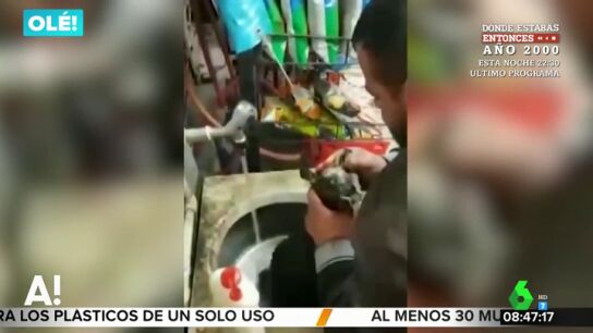 Un hombre salva a un perro callejero de morir ahogado haci&eacute;ndole el boca a boca