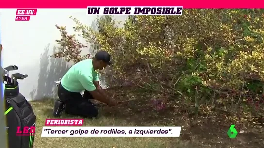 GolpeWoods_L6D GolpeWoods_L6D