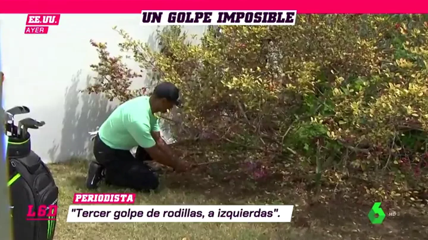GolpeWoods_L6D GolpeWoods_L6D