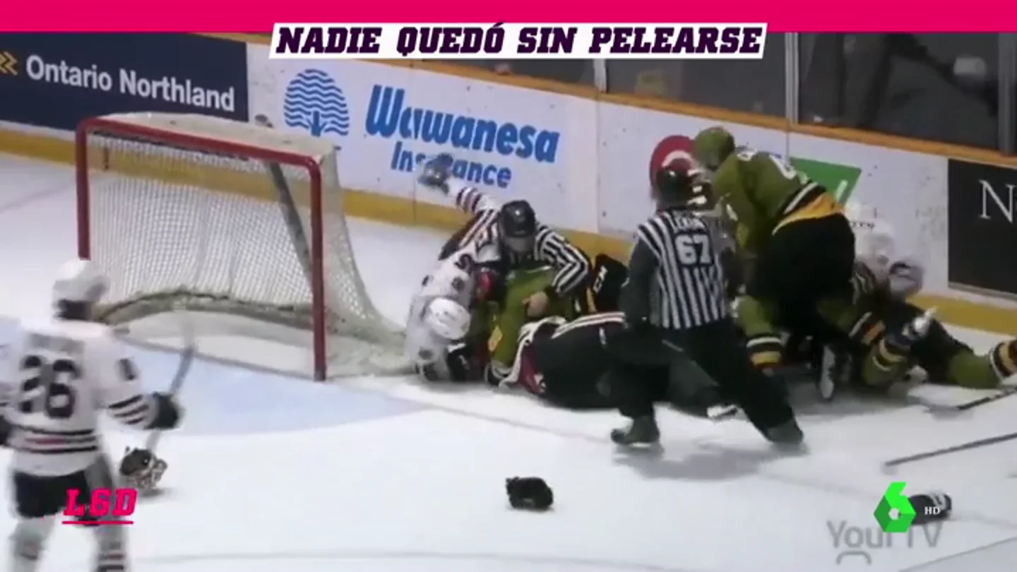 hockey_L6D hockey_L6D