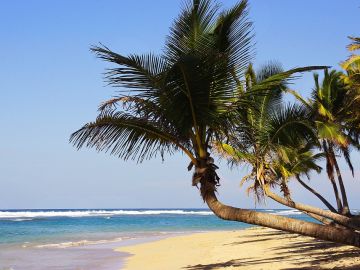 Punta Cana Punta Cana