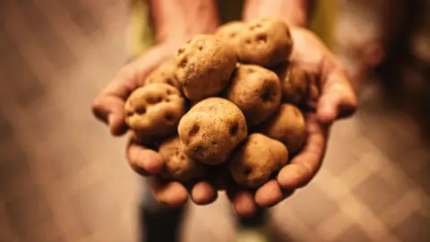 Gastronomía. Papas Gastronomía. Papas
