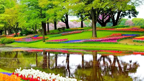 Keukenhof Keukenhof
