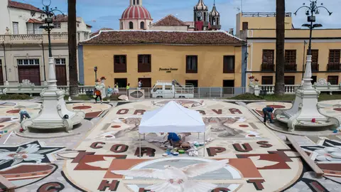 Alfombras Alfombras