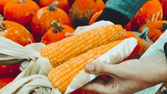 Imagen de archivo de alimentos ecológicos Imagen de archivo de alimentos ecológicos