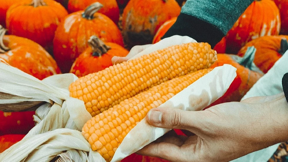 Imagen de archivo de alimentos ecológicos