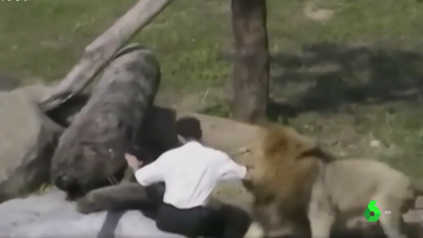 Molestar a los animales salvajes puede tener graves consecuencias Molestar a los animales salvajes puede tener graves consecuencias