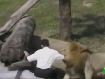 Molestar a los animales salvajes puede tener graves consecuencias Molestar a los animales salvajes puede tener graves consecuencias