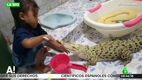 Así es el impactante vídeo de una niña cepillando los dientes a un cocodrilo que revoluciona las redes Así es el impactante vídeo de una niña cepillando los dientes a un cocodrilo que revoluciona las redes