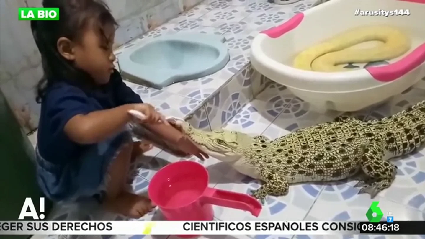 Así es el impactante vídeo de una niña cepillando los dientes a un cocodrilo que revoluciona las redes Así es el impactante vídeo de una niña cepillando los dientes a un cocodrilo que revoluciona las redes