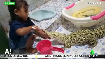 Así es el impactante vídeo de una niña cepillando los dientes a un cocodrilo que revoluciona las redes