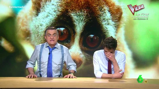 "¿Algún partido politico ha intentado intentado llevarte en sus listas?": Wyoming responde "¿Algún partido politico ha intentado intentado llevarte en sus listas?": Wyoming responde