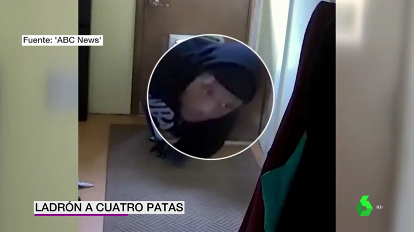 Una cámara de seguridad graba a un ladrón entrando en una casa por la puerta del perro Una cámara de seguridad graba a un ladrón entrando en una casa por la puerta del perro