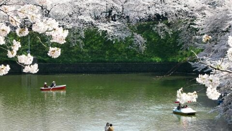 Parque Hirosaki