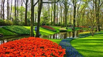 Parque Keukenhof
